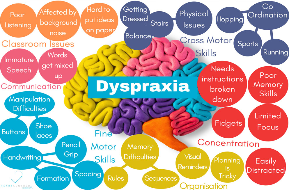 What is Dyspraxia - Laura Cramb Speech Therapy